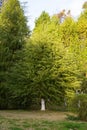 Garden with lawn and trees