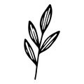 Garden leaf branch icon, hand drawn and outline style