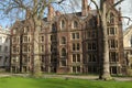 Garden of Lincolns Inn, Inns of Court Royalty Free Stock Photo