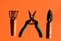 Garden little shovel rake and scissors to care for plants on an orange background