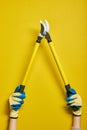 Garden loppers on yellow background, agricultural hand tool close-up