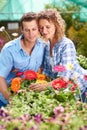 Garden love, greenhouse flower and couple with plant shopping and choice with gardening. Floral, spring sale and woman Royalty Free Stock Photo