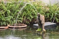 Garden Marble Sculpture fountain