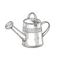 Garden metal watering can.