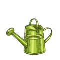 Garden metal watering can.