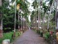 Garden mix trees Maharashtra India