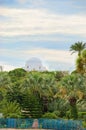 Garden in monastir, tunisia