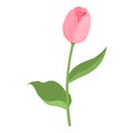 Garden mother tulip icon, cartoon style