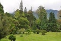 A garden with mountainous background