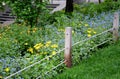 Flowerbed with colorful perennials and wooden fence posts with ropes in the park Royalty Free Stock Photo