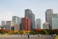 Garden near Imperial Palace, Tokyo Royalty Free Stock Photo