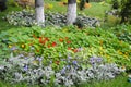 Garden near the monastery