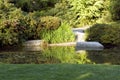 Garden with nice lawn and pond Royalty Free Stock Photo