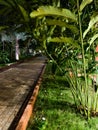 Garden at night in Alibaug