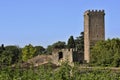 The Garden of Ninfa Royalty Free Stock Photo