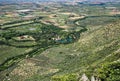 The Garden of Ninfa in Italy Royalty Free Stock Photo