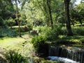 The Garden of Ninfa in Italy