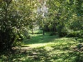 The Garden of Ninfa in Italy Royalty Free Stock Photo