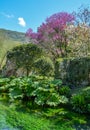 Garden of Ninfa, landscape garden in the territory of Cisterna di Latina, in the province of Latina, central Italy. Royalty Free Stock Photo