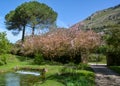 Garden of Ninfa, landscape garden in the territory of Cisterna di Latina, in the province of Latina, central Italy. Royalty Free Stock Photo