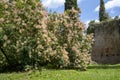 Garden of Ninfa and ruins of the medieval city Ninfa in Italy in the province of Latina