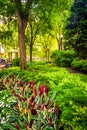 Garden at Norman B. Leventhal Park in Boston, Massachusetts. Royalty Free Stock Photo