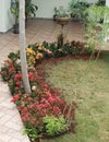 Garden with numerous colorful and beautiful flowers in Brazil
