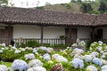 Garden in old town house in latin america 1 Royalty Free Stock Photo