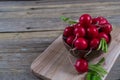 Garden organic radish in ceramic bowl Royalty Free Stock Photo