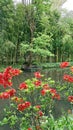 Garden, overlooking the garden of claude monet france