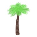 Garden palm tree icon, isometric style Royalty Free Stock Photo