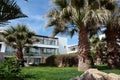 Garden with palms. Royalty Free Stock Photo