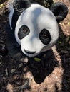 Garden panda bear