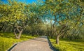 Garden park alley with apple trees along walkway Royalty Free Stock Photo