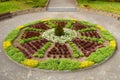 Flower bed with deciduous shrubs and green perennial plants for landscaping