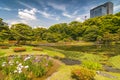 Garden in the park at Imperial Palace Tokyo Japan Royalty Free Stock Photo