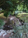 garden park stream stones trees Royalty Free Stock Photo