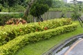 Garden of parkview hotel in rain Royalty Free Stock Photo