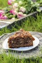 Garden party. Chocolate cake on wicker tray Royalty Free Stock Photo