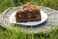 Garden party. Chocolate cake on wicker tray Royalty Free Stock Photo