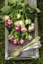 Garden party decor. Bouquet of pink roses Royalty Free Stock Photo