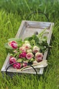 Garden party decor. Bouquet of pink roses Royalty Free Stock Photo