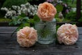 Three tenderness roses on a wooden rustic table, a glass vase. Garden party Royalty Free Stock Photo