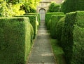 Garden Path Royalty Free Stock Photo