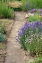 A garden path