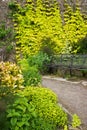 Garden path Royalty Free Stock Photo