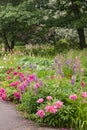 Garden path in a botanical garden Royalty Free Stock Photo