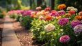 Garden path with colorful zinnias