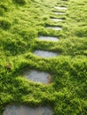 Garden curving path and grass Royalty Free Stock Photo