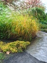 Garden path and decorative grass